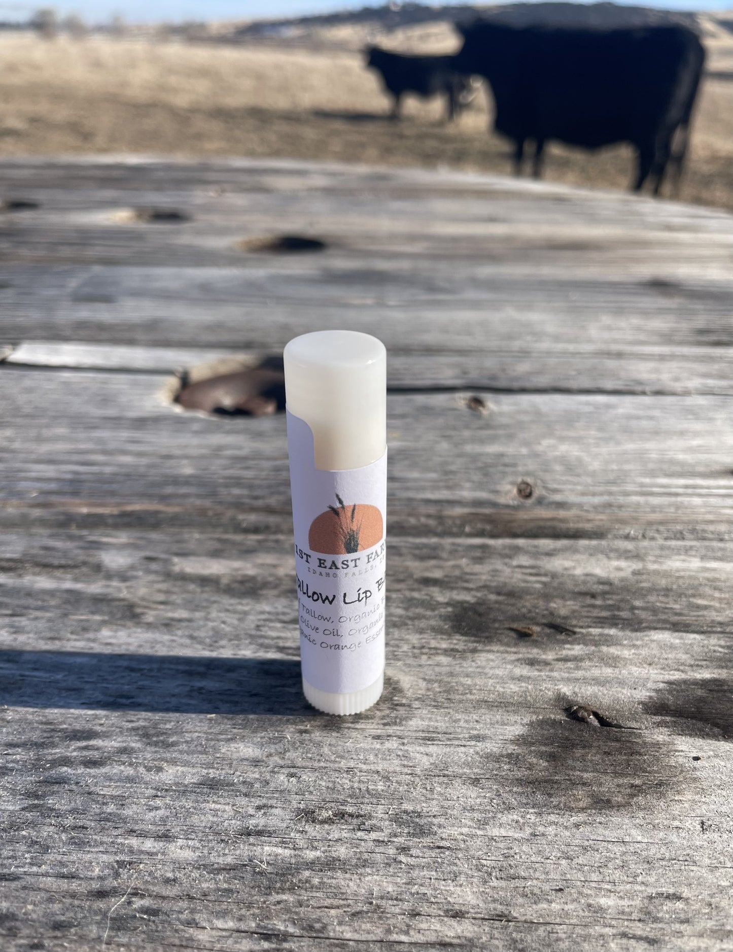 Tallow Lip Balm